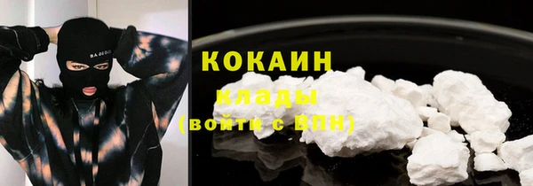 прущие крисы Абаза