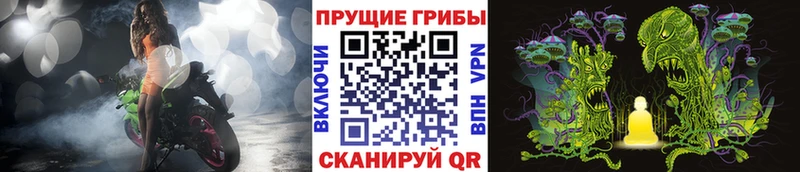 купить Заводоуковск Псилоцибиновые грибы GOLDEN TEACHER
